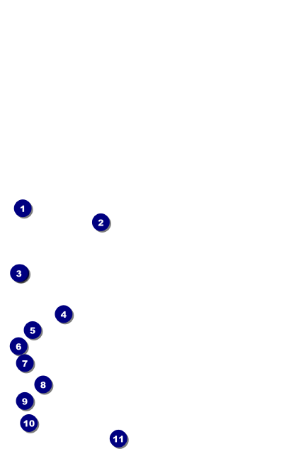 Golden Ornament Drink Ticket Front Field Markers