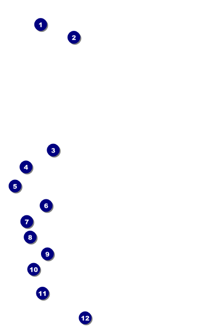 Hanukkah Abstract Drink Ticket Front Field Markers