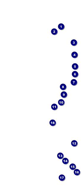 Retro Sunburst VIP Pass Front Field Markers