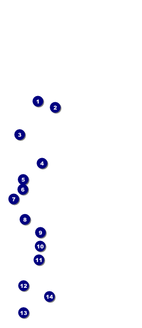 Poetry Quill VIP Pass Front Field Markers