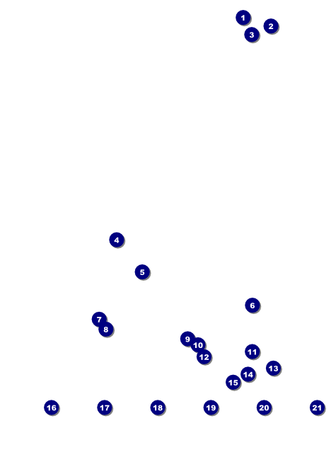 Chinese New Year Goat Logo Flyer Front Field Markers