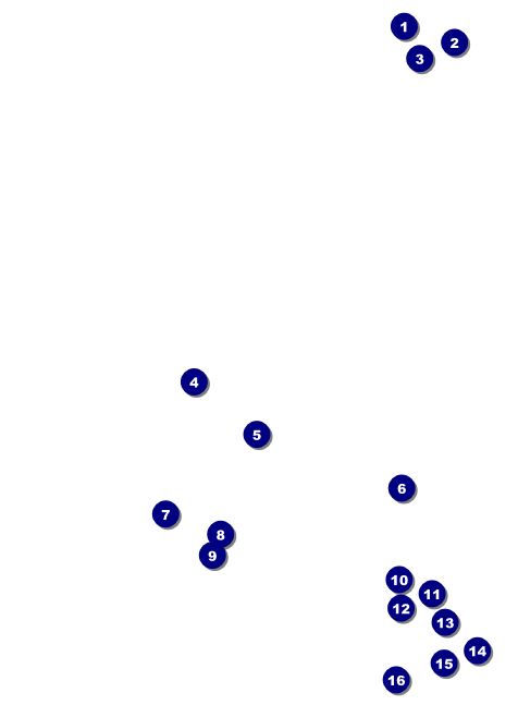 Chinese New Year Goat Invitation Front Field Markers
