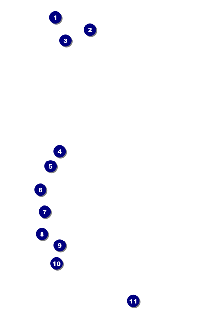 Blue Flower Drink Ticket Front Field Markers