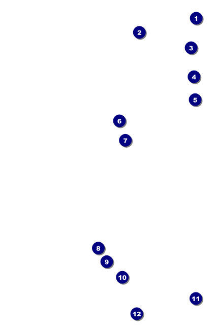 Charlotte Drink Ticket Front Field Markers