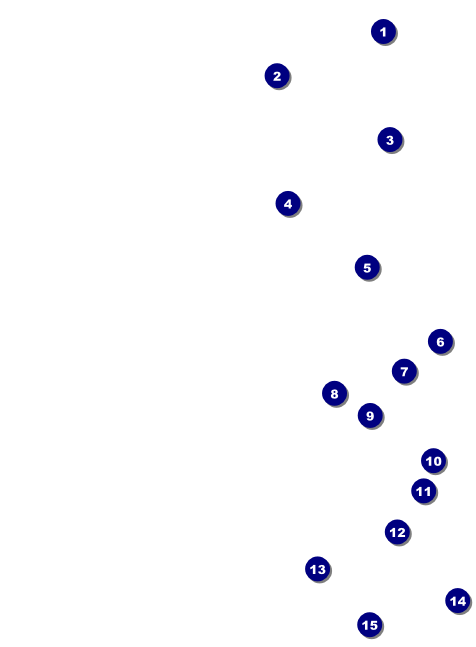 All Purpose Bright Invitation Front Field Markers