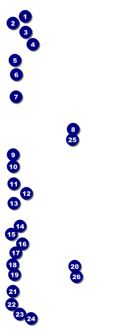 Rainbow Event Ticket Front Field Markers