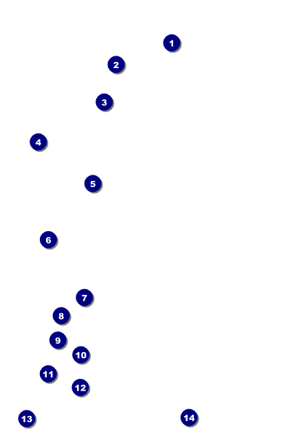 Orange Geometric Drink Ticket Front Field Markers