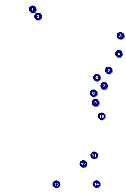 Chinese Drink Ticket Front Field Markers