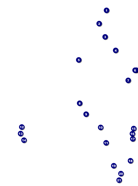 Hollywood Lights Flyer Front Field Markers