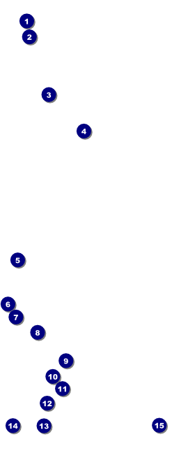 Soccer Camp VIP Pass Front Field Markers