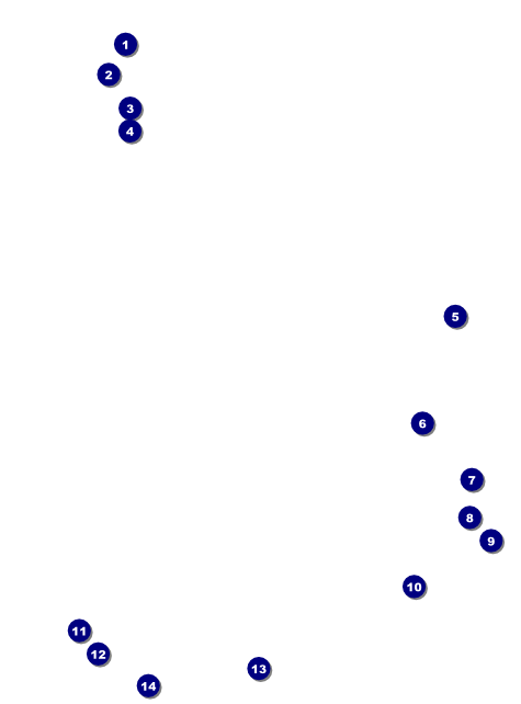 Mexican Flag Flyer Front Field Markers