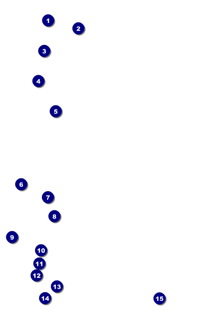 Murder Mystery Drink Ticket Front Field Markers