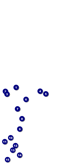 All Purpose Blue Table Tent Front Field Markers