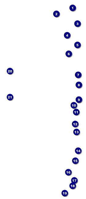 St Patrick's Day Shamrock VIP Event Badge Large Front Field Markers
