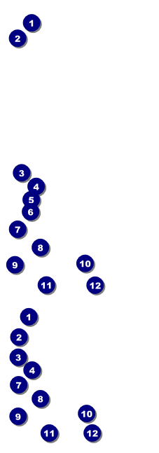 Curling Reserved Event Ticket Front Field Markers