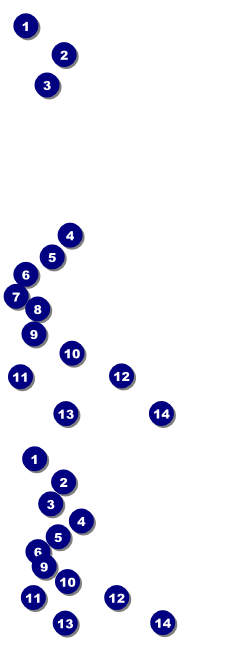 Basketball Reserved Event Ticket Front Field Markers