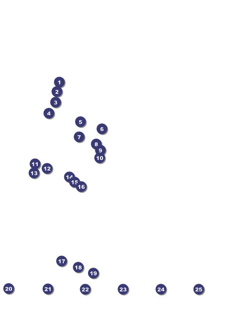 Alaska Flyer Front Field Markers