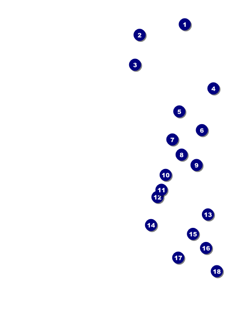 Sounds of Notes Invitation Front Field Markers