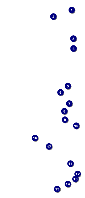 Billiard Tournament VIP Pass Front Field Markers