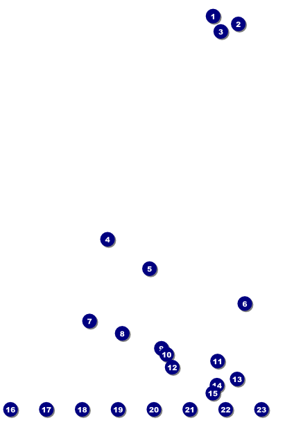 Chinese New Year Rooster Image Poster Front Field Markers