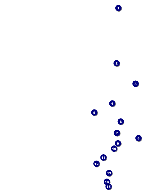 Swim Meet Flyer Front Field Markers