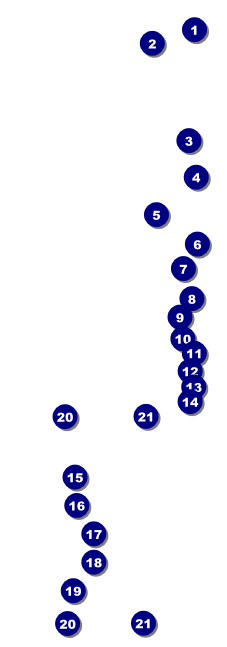 Swim Meet Raffle Ticket Front Field Markers