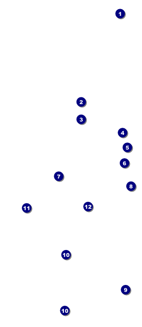 Champagne Bistro Hang Tag Front Field Markers