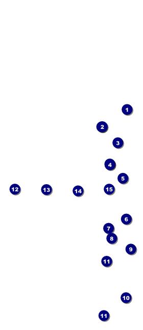 Carnival Hang Tag Front Field Markers