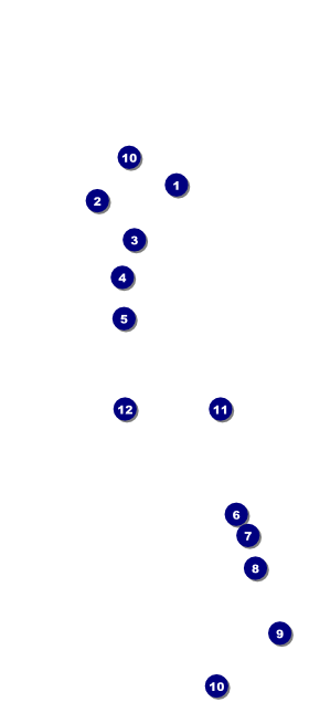 Fourth of July Freedom Hang Tag Front Field Markers
