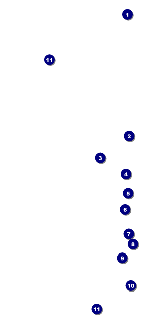 Football Blue Hang Tag Front Field Markers