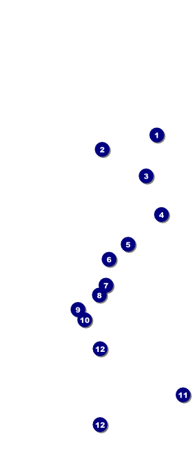 Blues Hang Tag Front Field Markers