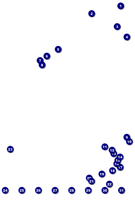 Martin Luther King Jr. Image Poster Front Field Markers