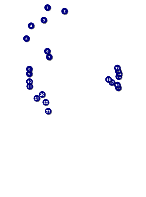 San Jose Flyer Front Field Markers