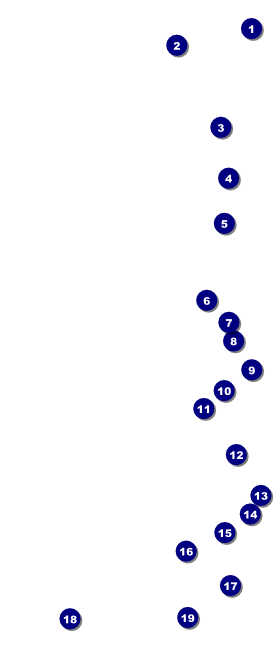 Rugby Tournament VIP Pass Front Field Markers