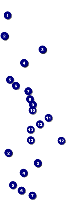 Stag and Doe Event Ticket Front Field Markers