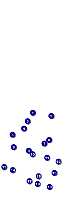 Orange Ribbon Table Tent Front Field Markers