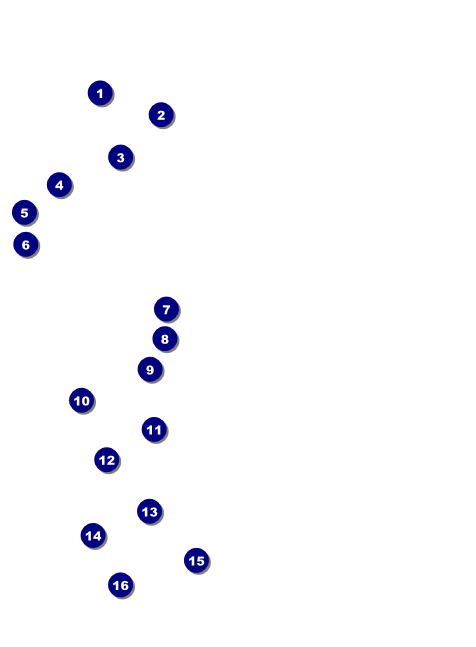 Red, White, and Blue Stars Invitation Front Field Markers