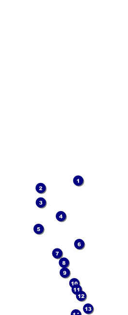 St Patrick's Day Colored Table Tent Front Field Markers