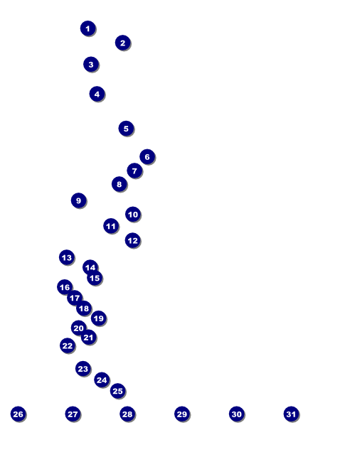 Red Rose Flyer with Image Upload Front Field Markers
