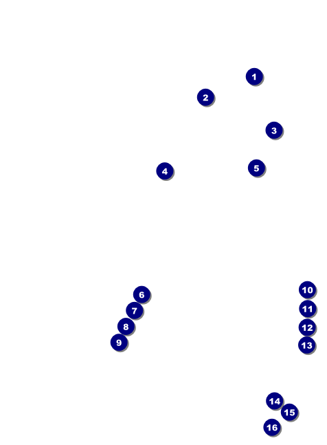 Paris Blue and Black Invitation Front Field Markers