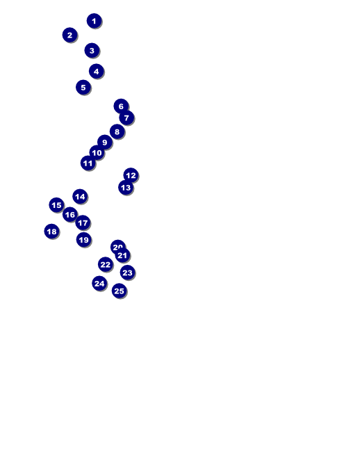 Fiesta Flyer Front Field Markers