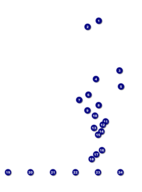 Sydney Flyer (Black and White) Front Field Markers