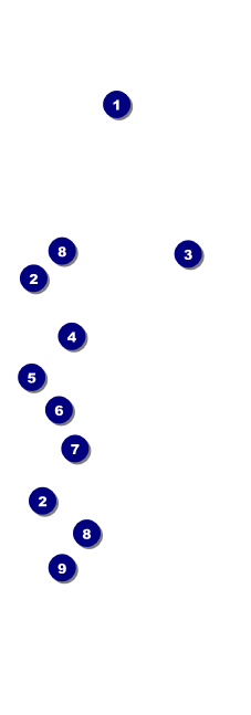 Golf Water Hazard QR Event Ticket Front Field Markers