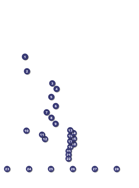 Indy Racing Flyer Front Field Markers