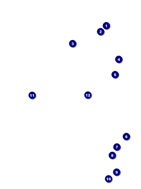 Abstract Lights Economy Event Badge Front Field Markers