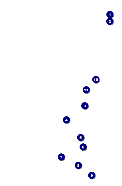Chinese New Year Rat Drink Ticket Front Field Markers