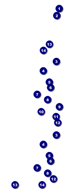 Chinese New Year Rat Event Ticket Front Field Markers