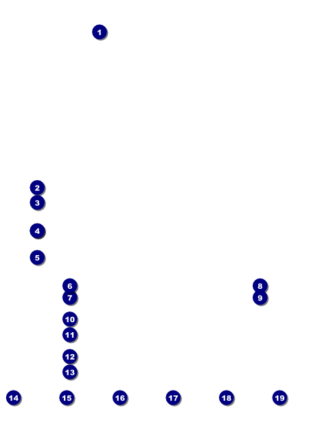 Tampa Bay Sunset Logo Flyer Front Field Markers