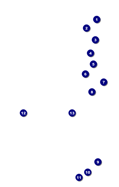 Alternative Music VIP Event Badge Medium Front Field Markers