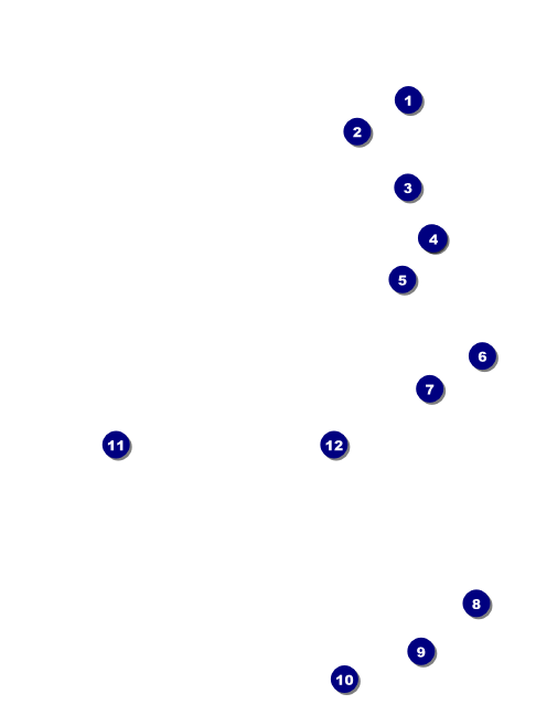 Bowling League Economy Event Badge Front Field Markers